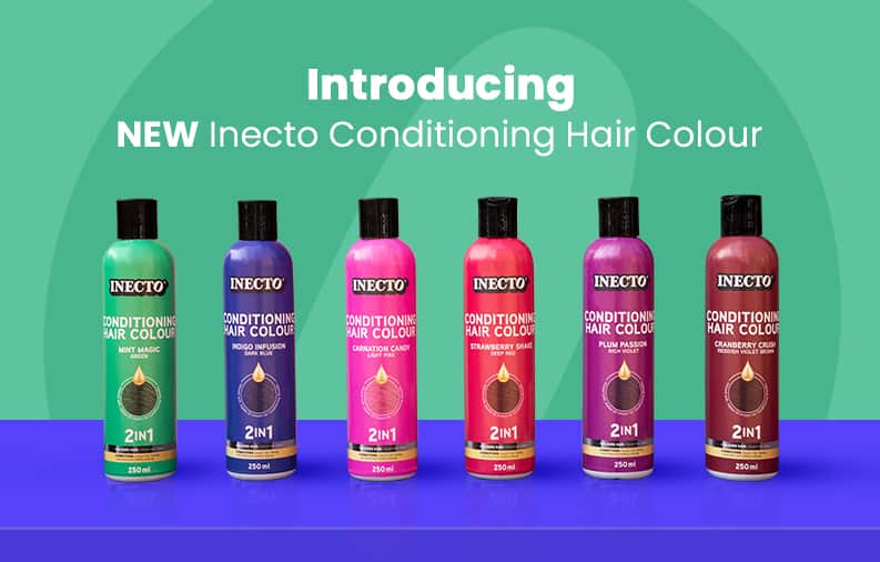 Carousel_2_VS2_OPT1 RV1 Inecto